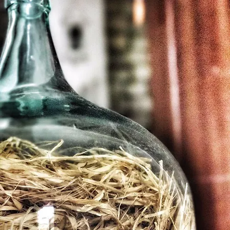 Zevkliler 3* אלאקאטי