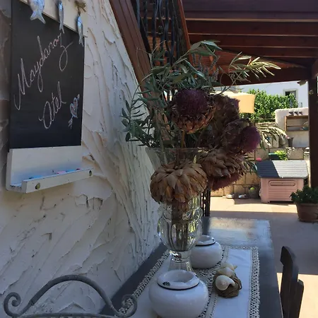 לינה וארוחת בוקר Zevkliler