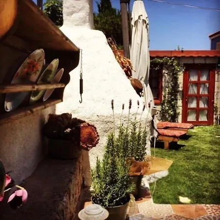 לינה וארוחת בוקר Zevkliler אלאקאטי