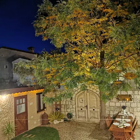 לינה וארוחת בוקר Zevkliler אלאקאטי