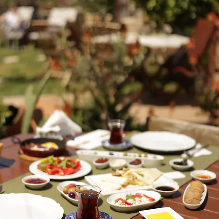 לינה וארוחת בוקר Zevkliler