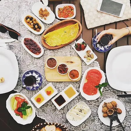 לינה וארוחת בוקר Zevkliler אלאקאטי