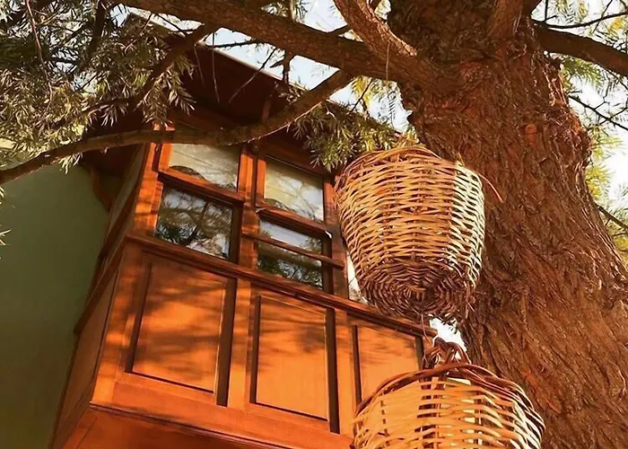 Zevkliler Bed & Breakfast 3*