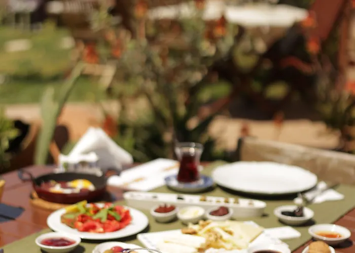 Bed & Breakfast Zevkliler