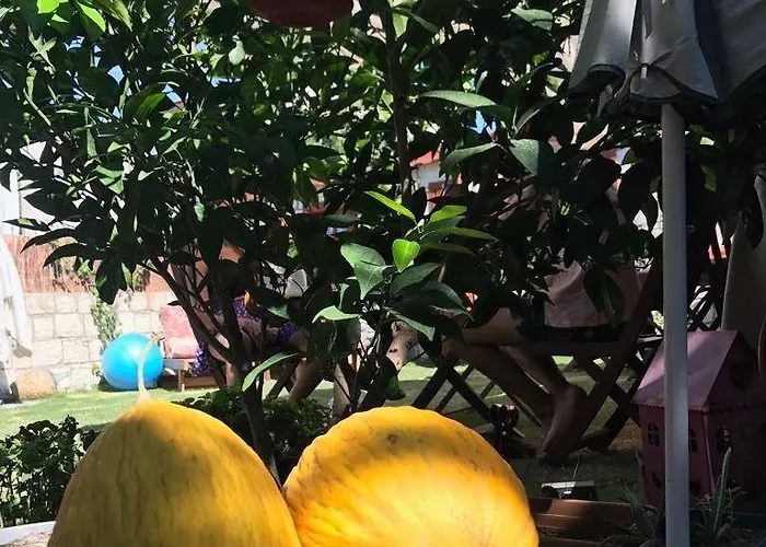 Zevkliler Panzió Alacati