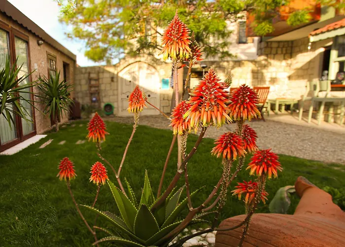 Zevkliler 3* Alacati